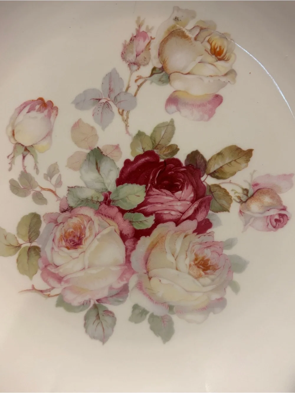 Vtg Schumann Arzberg Germany Bavaria Plate Platter Anti Rose 12” #28 Hand Paint